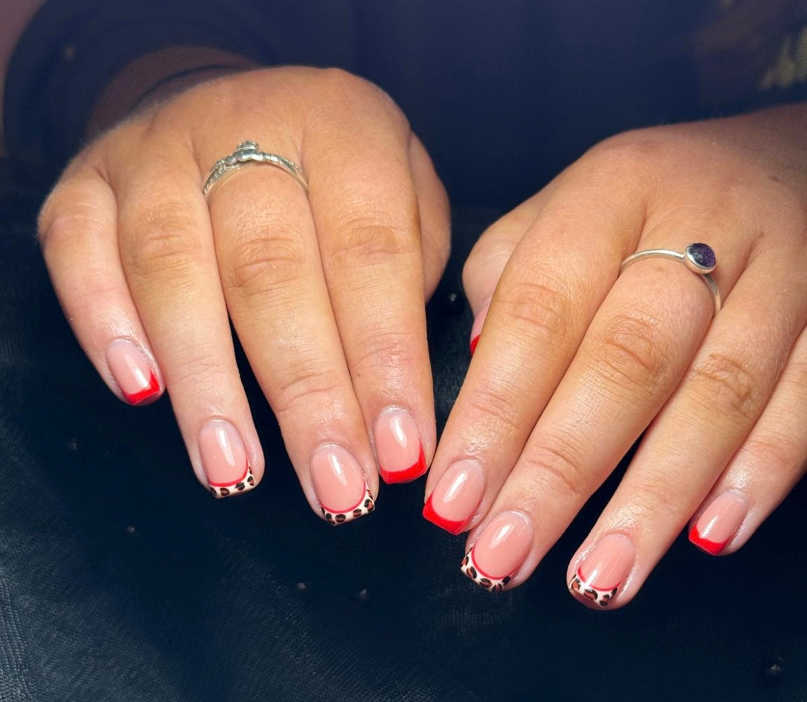 The Builder Gel Pro Course