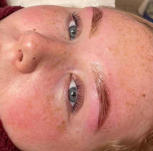 2 DAY - 3 in 1 Lash Lift and Brow Lami and Hybrid Tint and Wax Combo Course